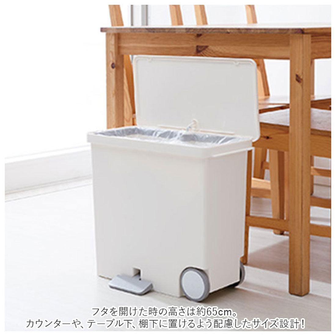 バックヤードファミリー BACKYARD FAMILY 分別ゴミ箱 スリム ペダル 横 25L （ホワイト） ホワイト