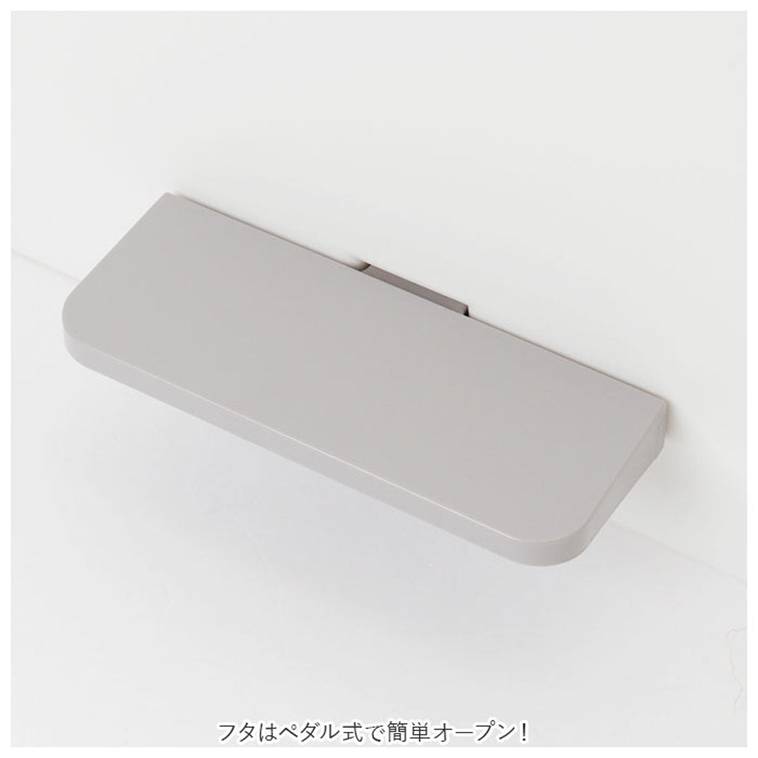 バックヤードファミリー BACKYARD FAMILY 分別ゴミ箱 スリム ペダル 横 25L （ホワイト） ホワイト