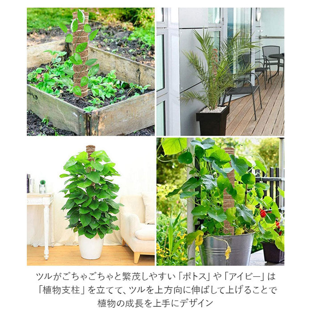 BACKYARD FAMILY  BACKYARD FAMILY Support Gardening Gardening Supplies