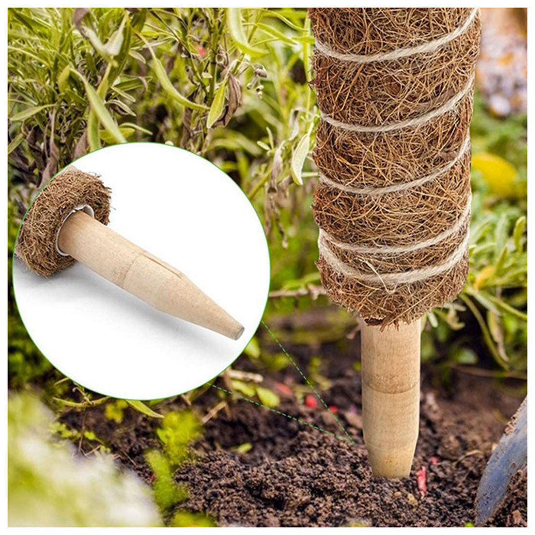 BACKYARD FAMILY  BACKYARD FAMILY Support Gardening Gardening Supplies
