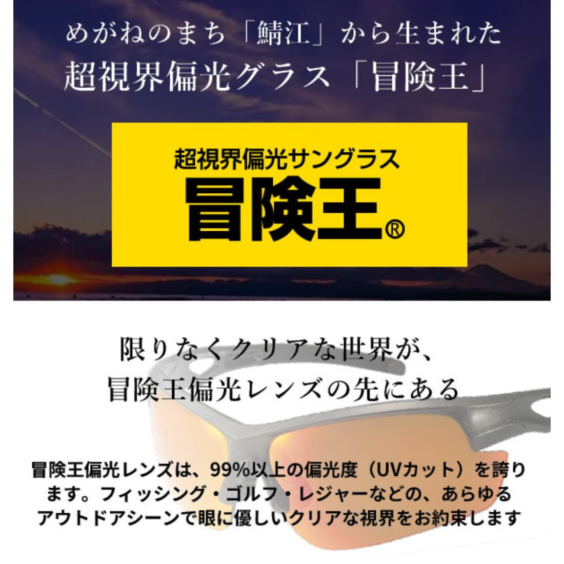バックヤードファミリー BACKYARD FAMILY 冒険王 ZSB201 ゼロステージ バイフォーカル （ブラックXスモーク） ブラックXスモーク