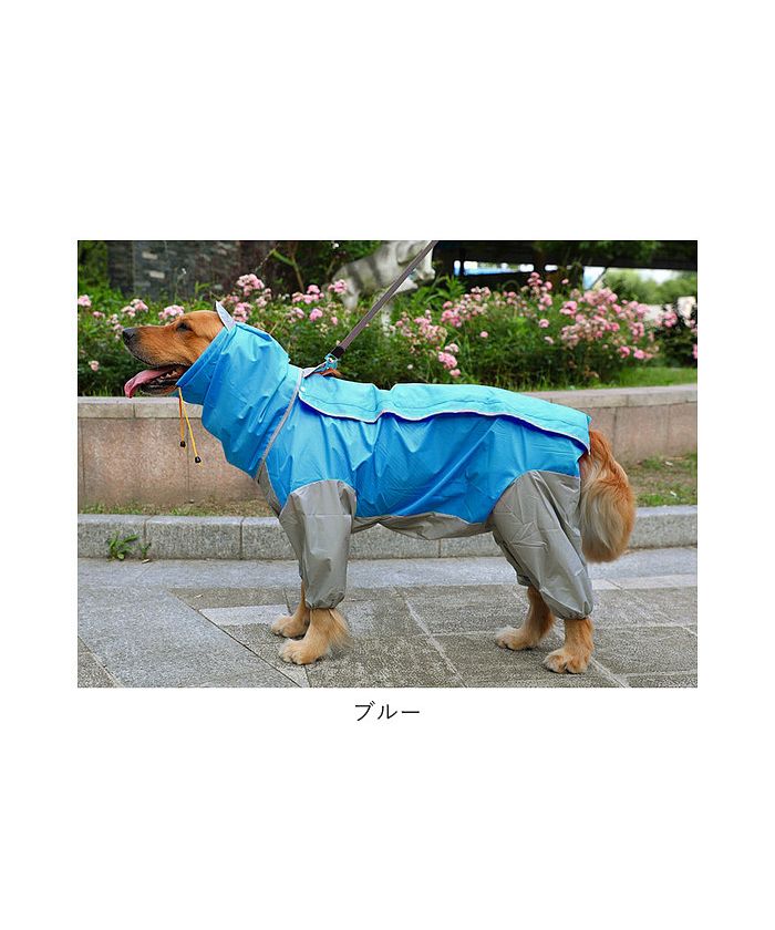 バックヤードファミリー BACKYARD FAMILY 犬用レインコート pk99【返品不可商品】
