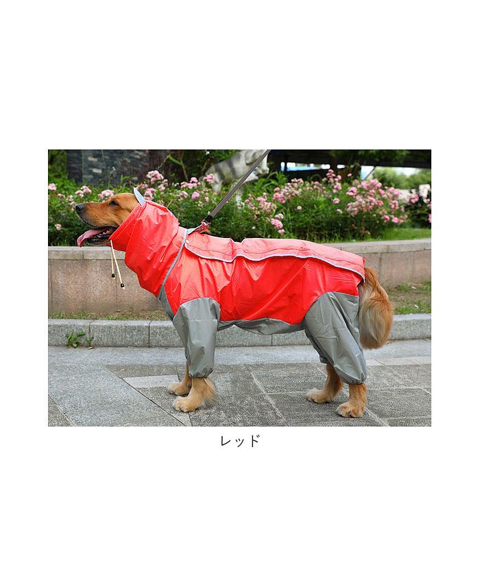 バックヤードファミリー BACKYARD FAMILY 犬用レインコート pk99【返品不可商品】