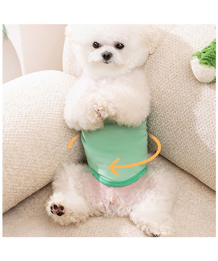 バックヤードファミリー BACKYARD FAMILY 可愛いマナーパンツ 犬用 yksl0887【返品不可商品】