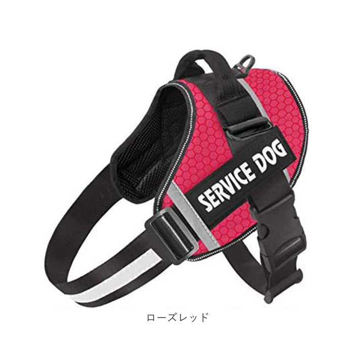 Backyard Family Dog Harness Stylish xysd2【Non-returnable item】