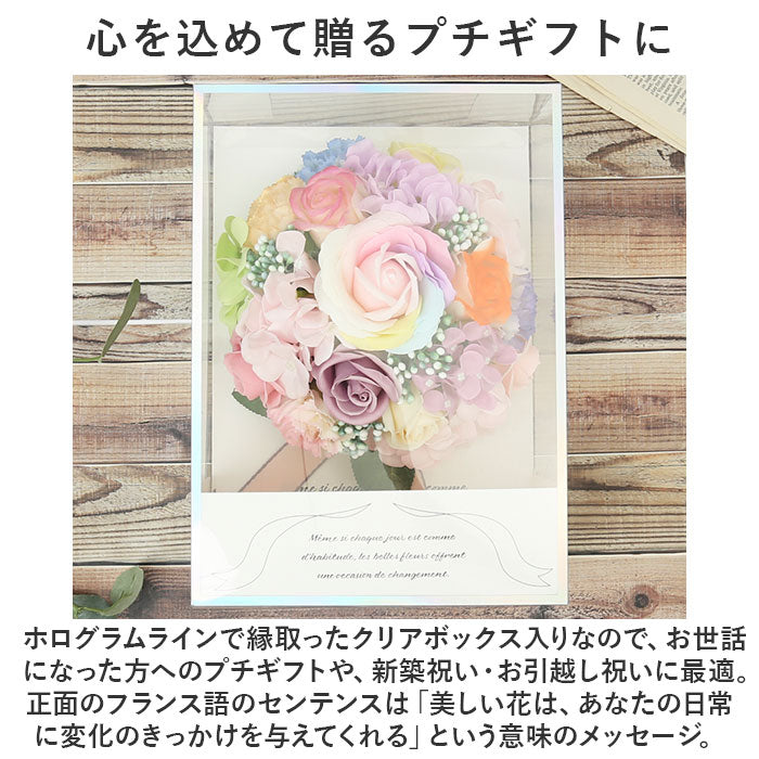 BACKYARD FAMILY BACKYARD FAMILY 吊網圓頂
