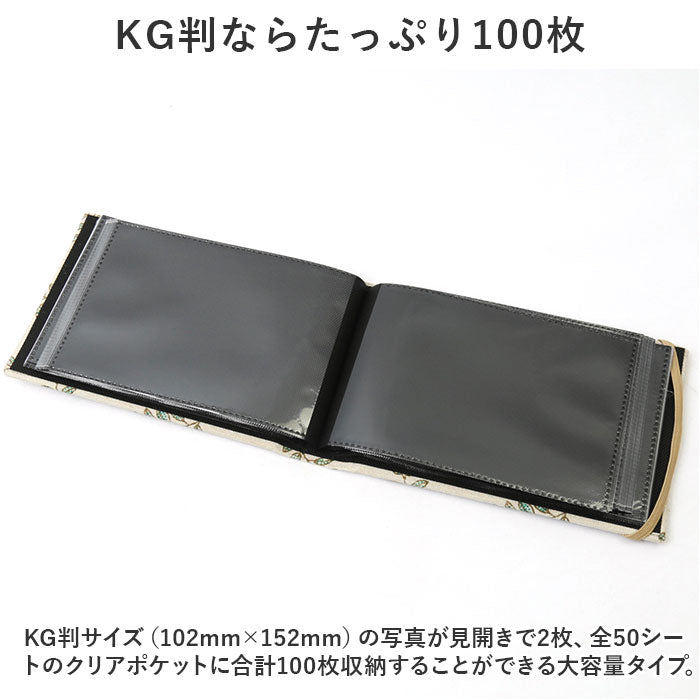 バックヤードファミリー BACKYARD FAMILY アルバム KGサイズ 大容量 100枚 yssetsu03