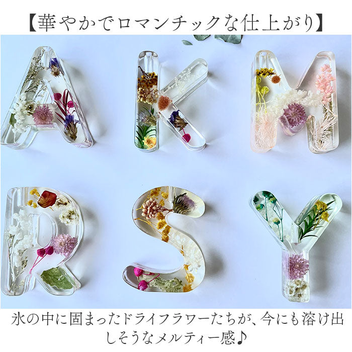バックヤードファミリー BACKYARD FAMILY BOUTE イニシャルフレグランスディフューザーセット （Y） Y
