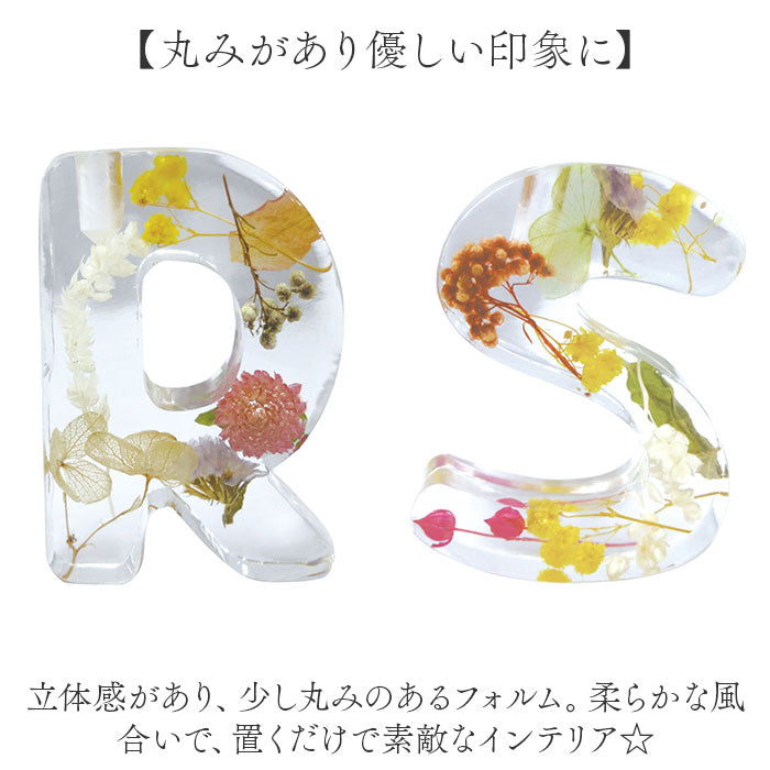 バックヤードファミリー BACKYARD FAMILY BOUTE イニシャルフレグランスディフューザーセット （Y） Y