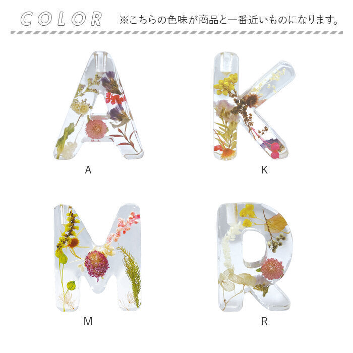 バックヤードファミリー BACKYARD FAMILY BOUTE イニシャルフレグランスディフューザーセット （Y） Y