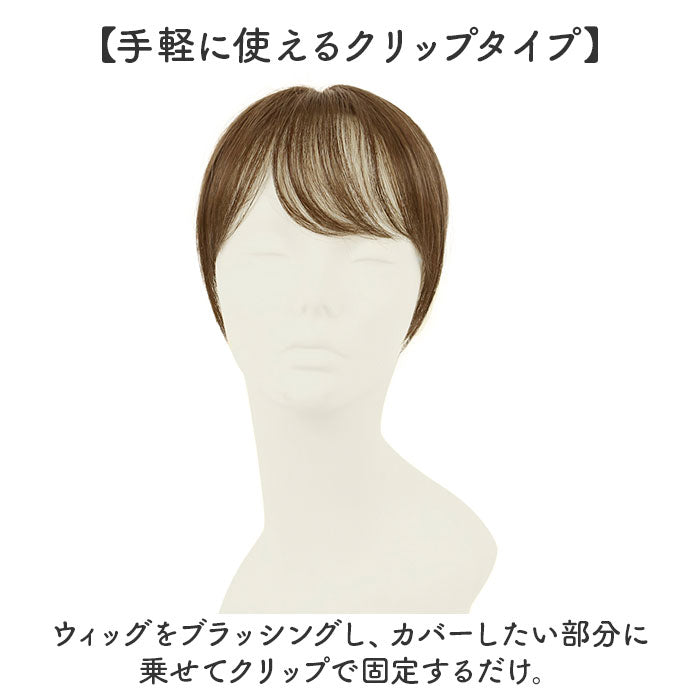 バックヤードファミリー BACKYARD FAMILY プレミアム白髪かくしウィッグ ナチュラルショートSTー009 （G4A/グラデーションブラウン） G4A/グラデーションブラウン