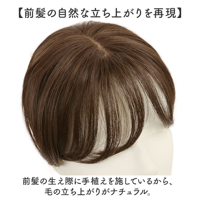 バックヤードファミリー BACKYARD FAMILY プレミアム白髪かくしウィッグ ナチュラルショートSTー009 （G4A/グラデーションブラウン） G4A/グラデーションブラウン