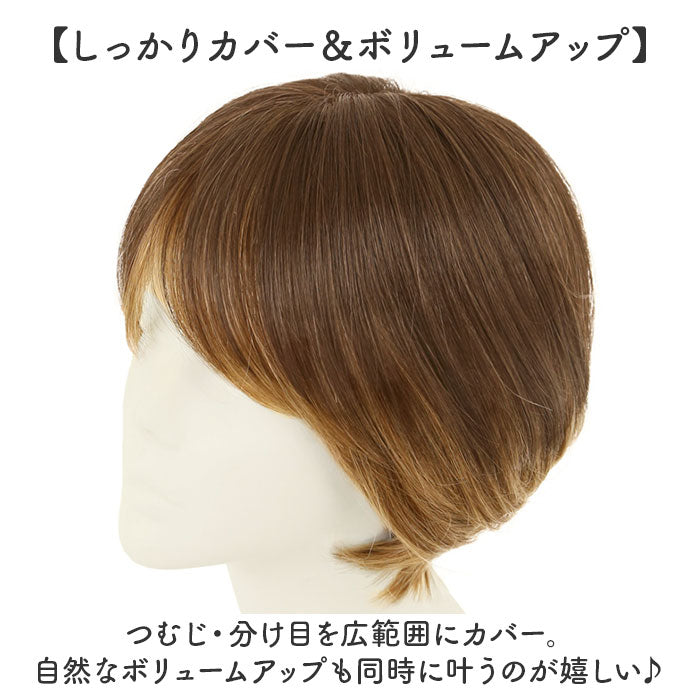 バックヤードファミリー BACKYARD FAMILY プレミアム白髪かくしウィッグ ナチュラルショートSTー009 （G4A/グラデーションブラウン） G4A/グラデーションブラウン