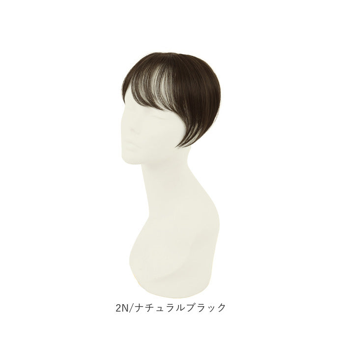 バックヤードファミリー BACKYARD FAMILY プレミアム白髪かくしウィッグ ナチュラルショートSTー009 （G4A/グラデーションブラウン） G4A/グラデーションブラウン