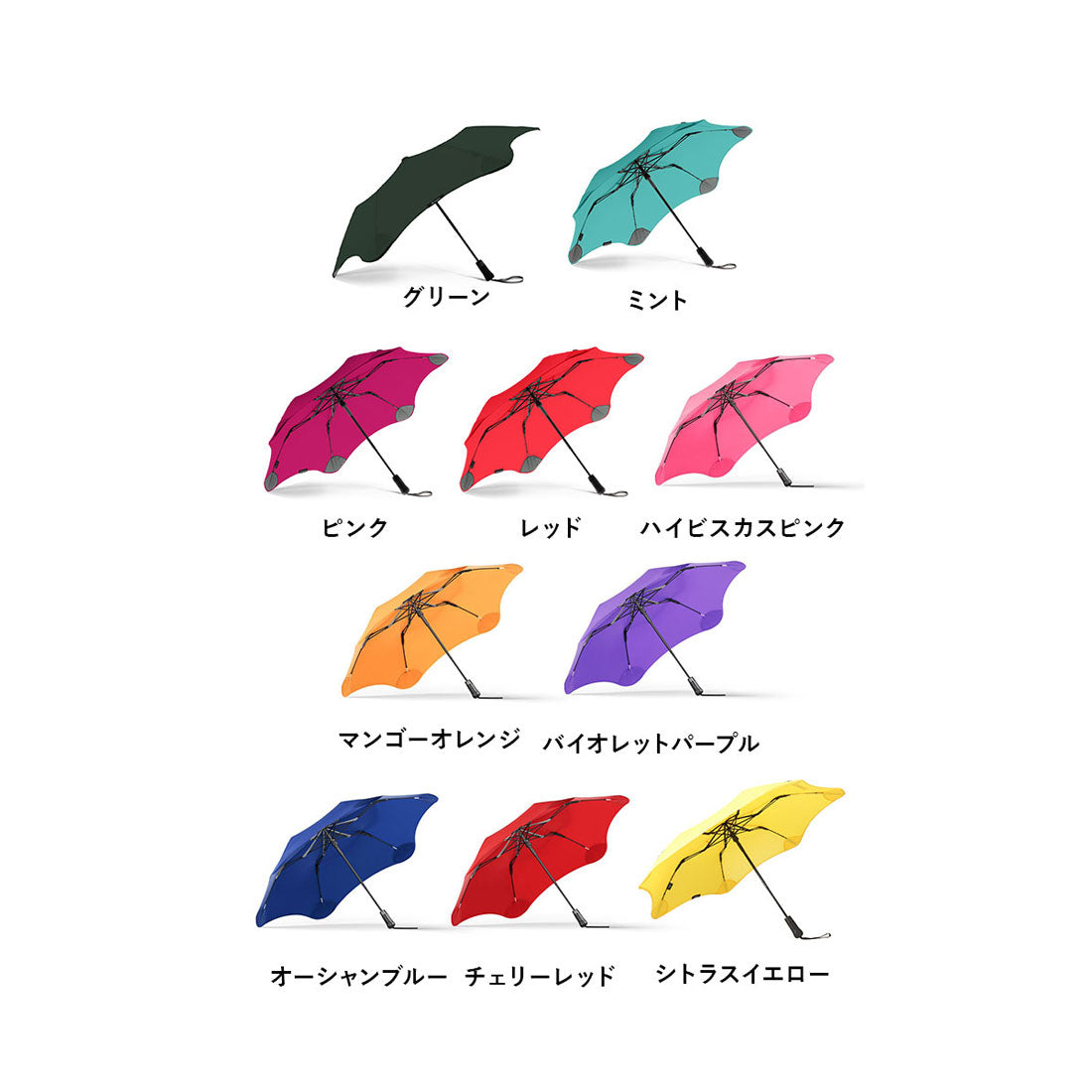 バックヤードファミリー BACKYARD FAMILY BLUNT METRO ブラント メトロ 折りたたみ傘 （オーシャンブルー） オーシャンブルー