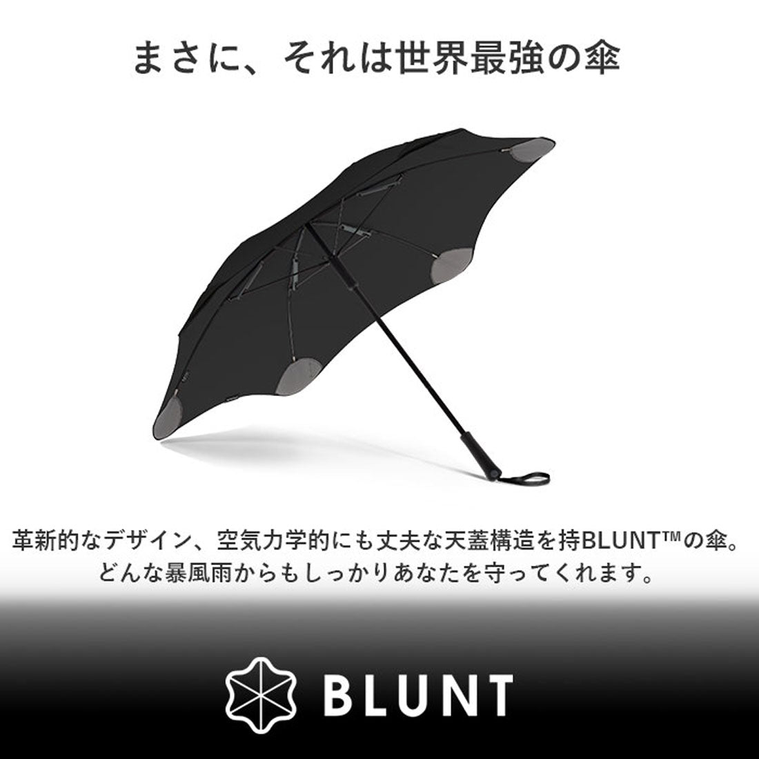 バックヤードファミリー BACKYARD FAMILY BLUNT CLASSIC 2.0  65cm ブラント クラシック （インクブラック） インクブラック