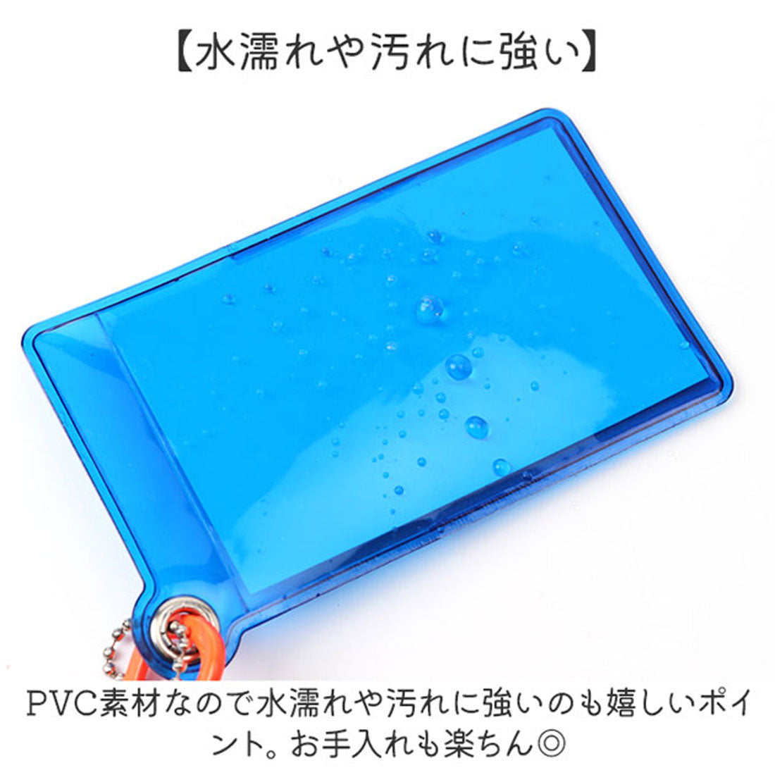 バックヤードファミリー BACKYARD FAMILY スケルトンカラー パスケース カラーコード付き （グリーン×ネオンイエロー） グリーン×ネオンイエロー