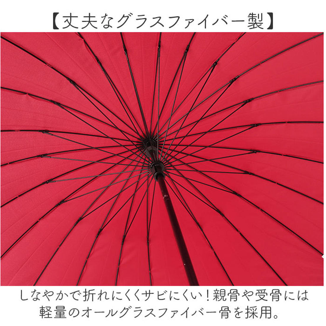 バックヤードファミリー BACKYARD FAMILY Natural basic 58cm 24本骨 傘 （グレージュ） グレージュ
