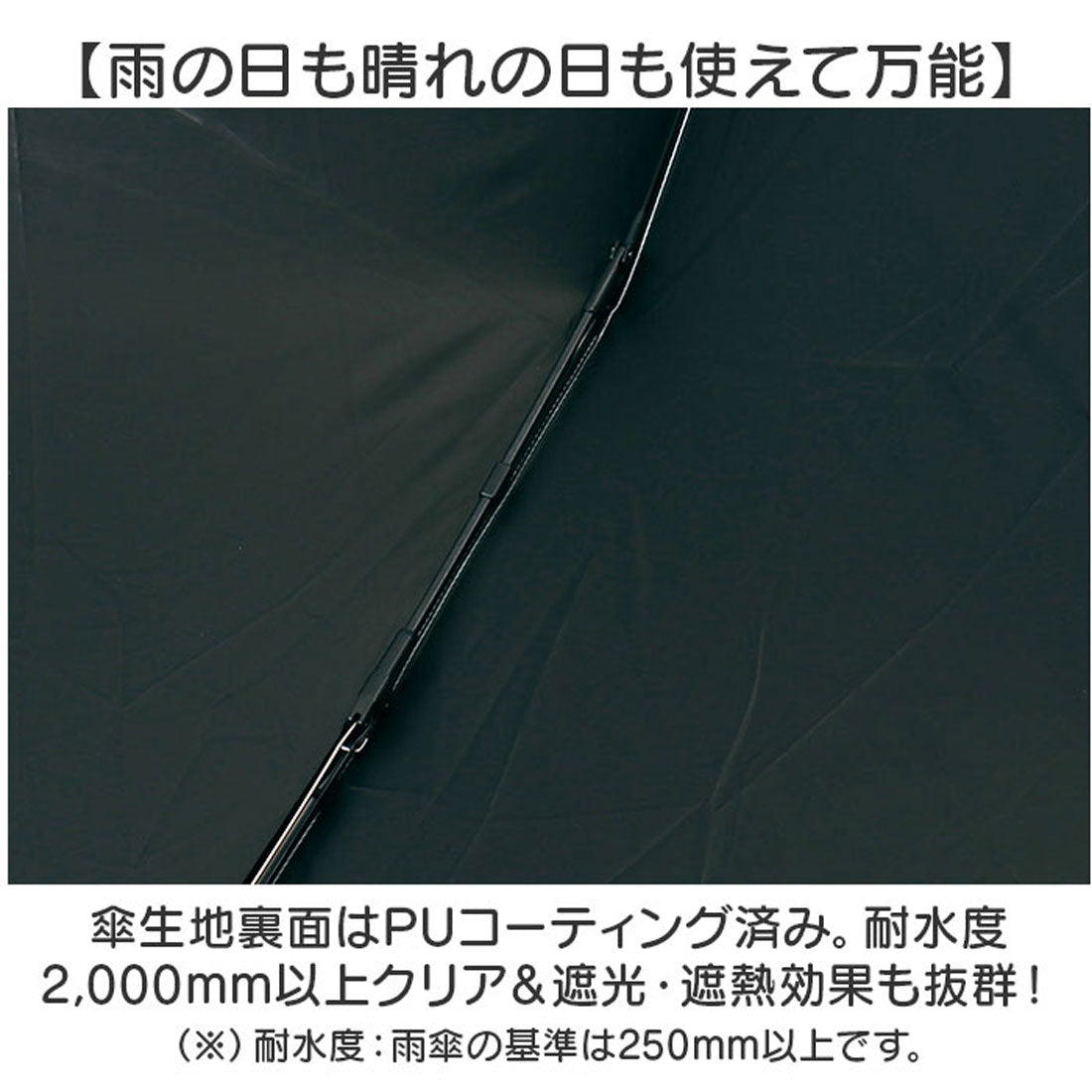 バックヤードファミリー BACKYARD FAMILY OLIVE des OLIVE 晴雨兼用折りたたみ傘 55cm （ベアー/パープル） ベアー/パープル