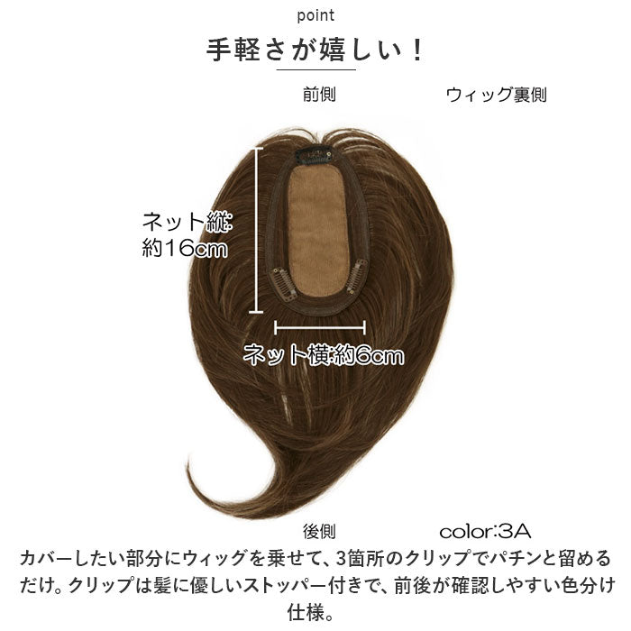 Backyard Family Priscilla Premium Gray Hair Concealing Wig One-Length Long ST-011
