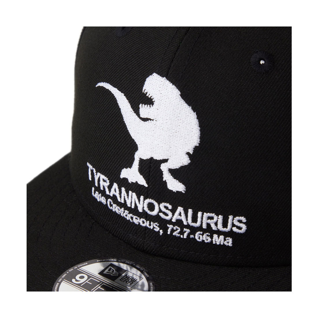 ニューエラ NEW ERA NEW ERA   YTH 950 TYRANNOSAURUS / ニューエラ （BLK (01)） BLK (01)