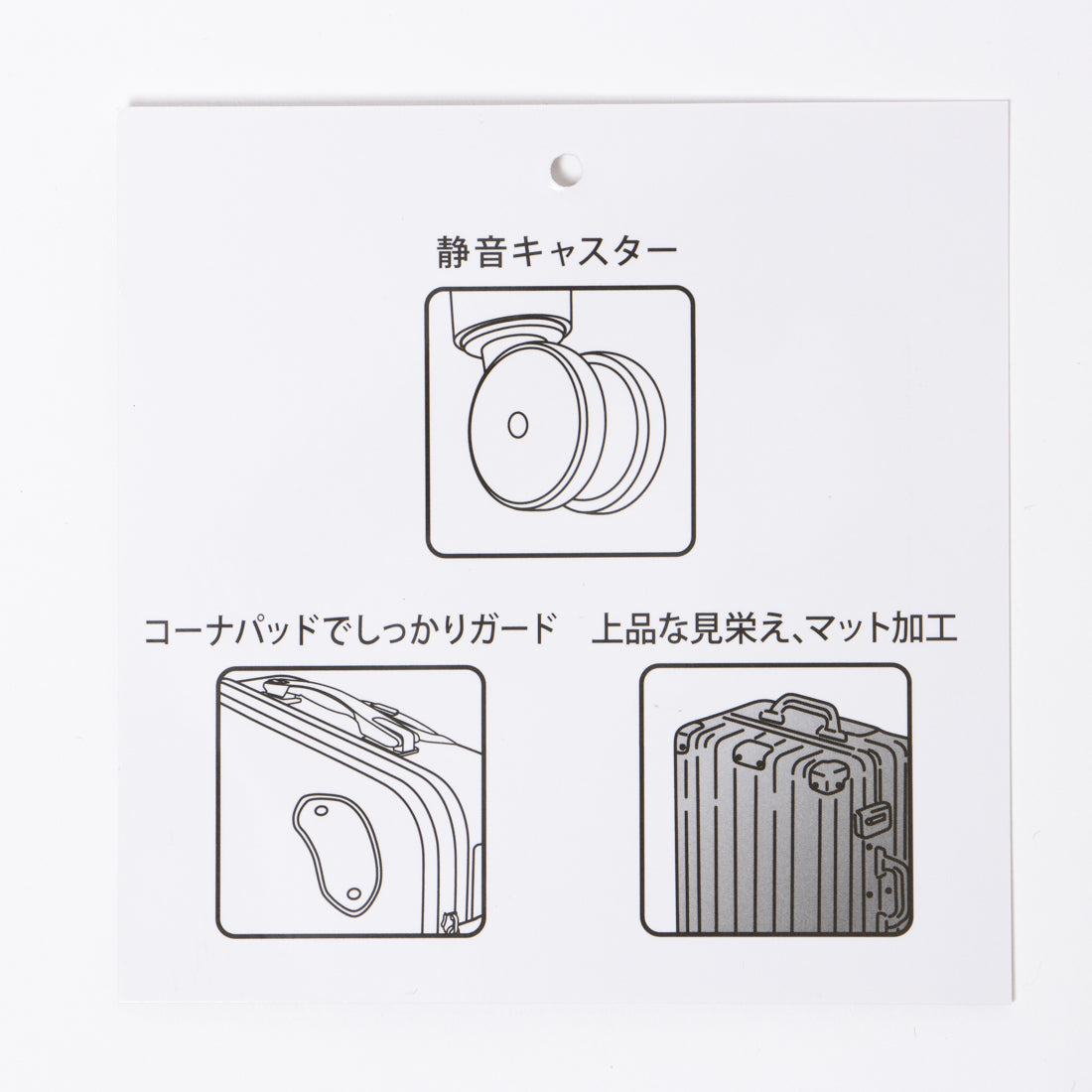 Next Innovation Matte Frame Carry Case