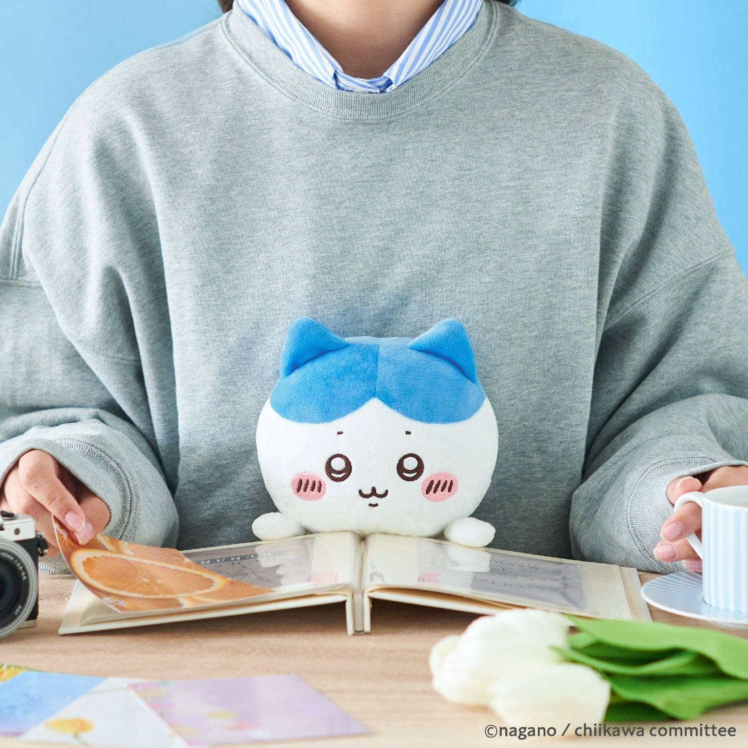 ポンポネットジュニア pom ponette junior 【ふんばるず】ちいかわ （クリーム） クリーム