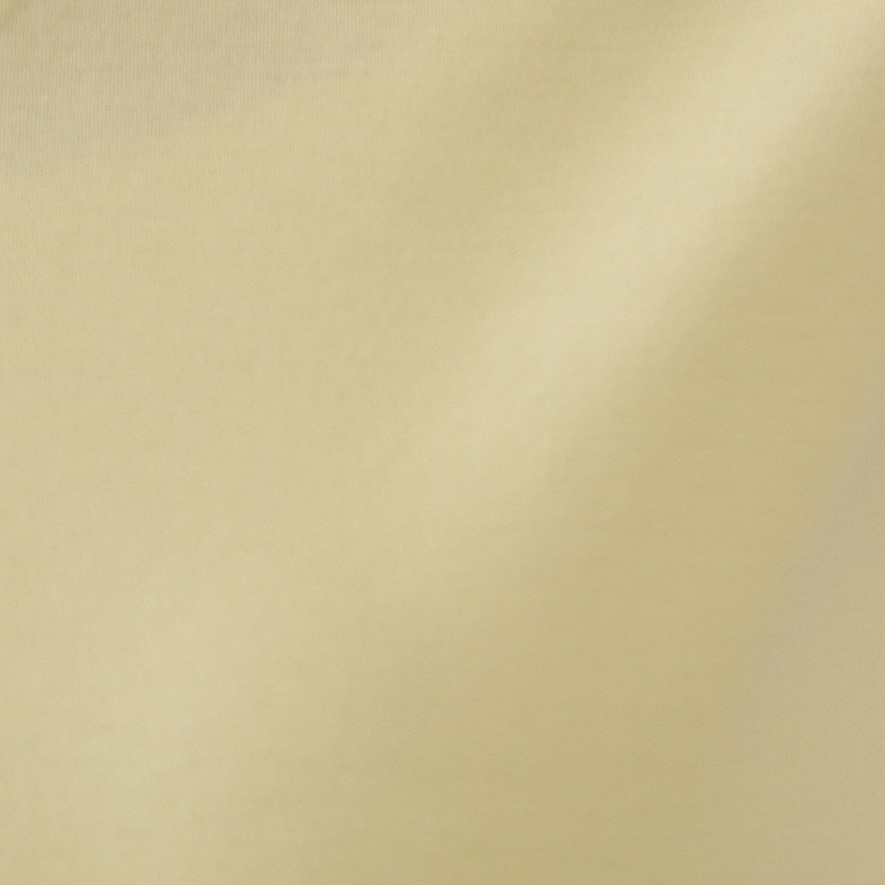 オペーク ドット クリップ OPAQUE.CLIP 《5color》VネックベーシックTシャツ【接触冷感／洗濯機洗い可】 （ブラック(019)） ブラック(019)