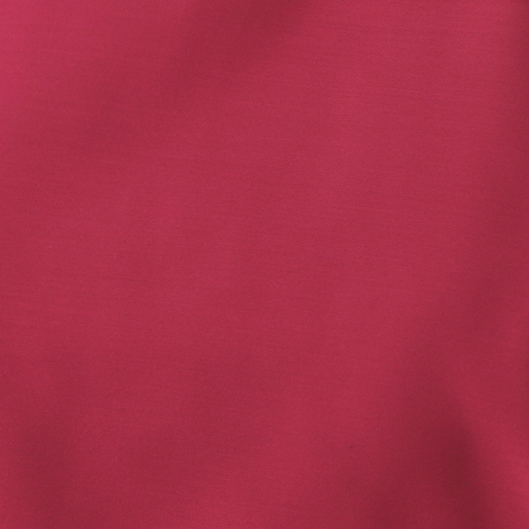 オペーク ドット クリップ OPAQUE.CLIP シアーボリュームスリーブブラウス【洗濯機洗い可】 （レッド(062)） レッド(062)