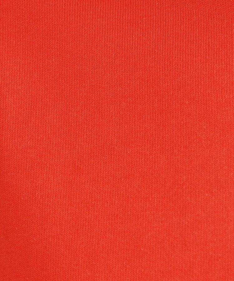 オペーク ドット クリップ OPAQUE.CLIP 【FRUIT OF THE LOOM／フルーツオブザルーム】別注オリジナルパックTシャツ （チャコールグレー(014)） チャコールグレー(014)