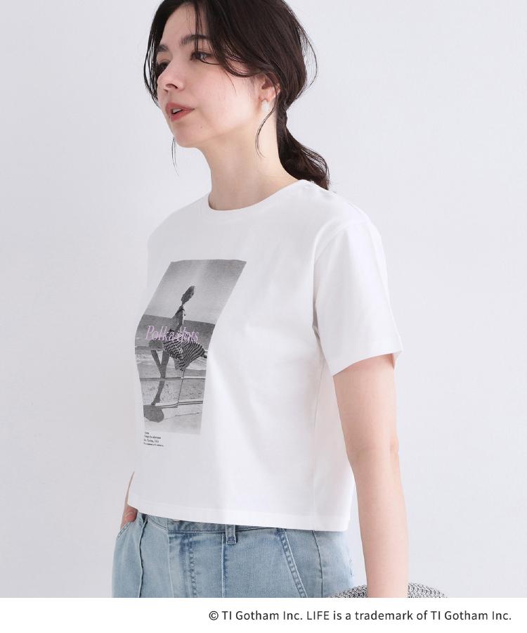 オペーク ドット クリップ OPAQUE.CLIP 【LIFE PICTURE COLLECTION】アソートフォトTシャツ （ホワイト(101)） ホワイト(101)
