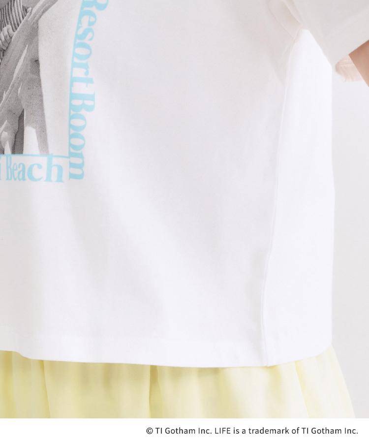 オペーク ドット クリップ OPAQUE.CLIP 【LIFE PICTURE COLLECTION】アソートフォトTシャツ （ホワイト(101)） ホワイト(101)