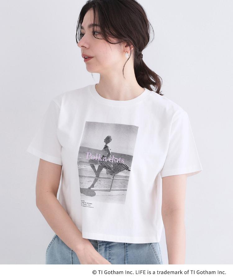 オペーク ドット クリップ OPAQUE.CLIP 【LIFE PICTURE COLLECTION】アソートフォトTシャツ （ホワイト(001)） ホワイト(001)