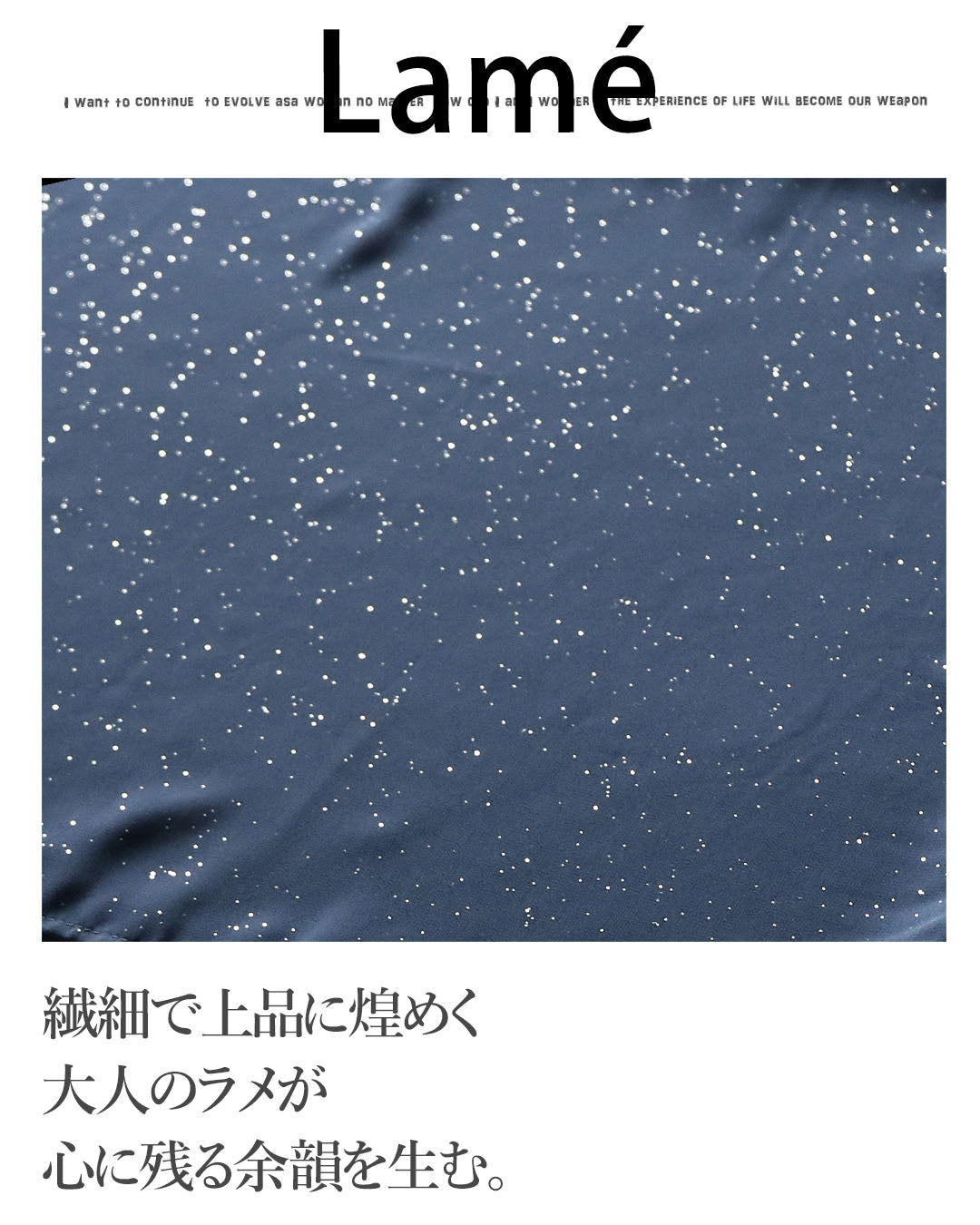 オトナ OTONA シアーに映える上品な煌めき レイヤード風大人のラメシアートップス （ネイビー） ネイビー