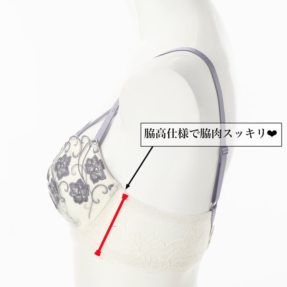 パリーゼ Palissee 【脇高】 バイカラーマカロニコードブラ＆バックレースショーツ【返品不可商品】 （ネイビー） ネイビー