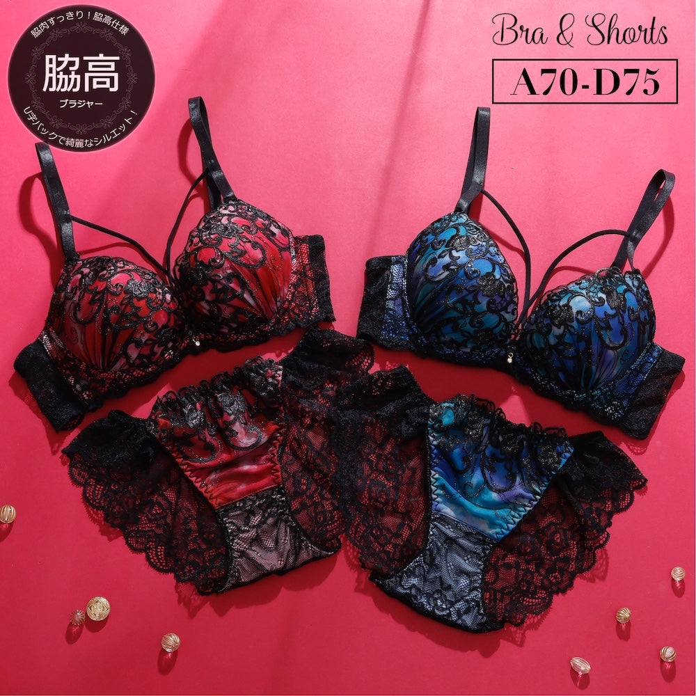 パリーゼ Palissee 【脇高】 ヴェルヴェットアイヴィブラ＆バックレースショーツ【返品不可商品】 （ブルー） ブルー