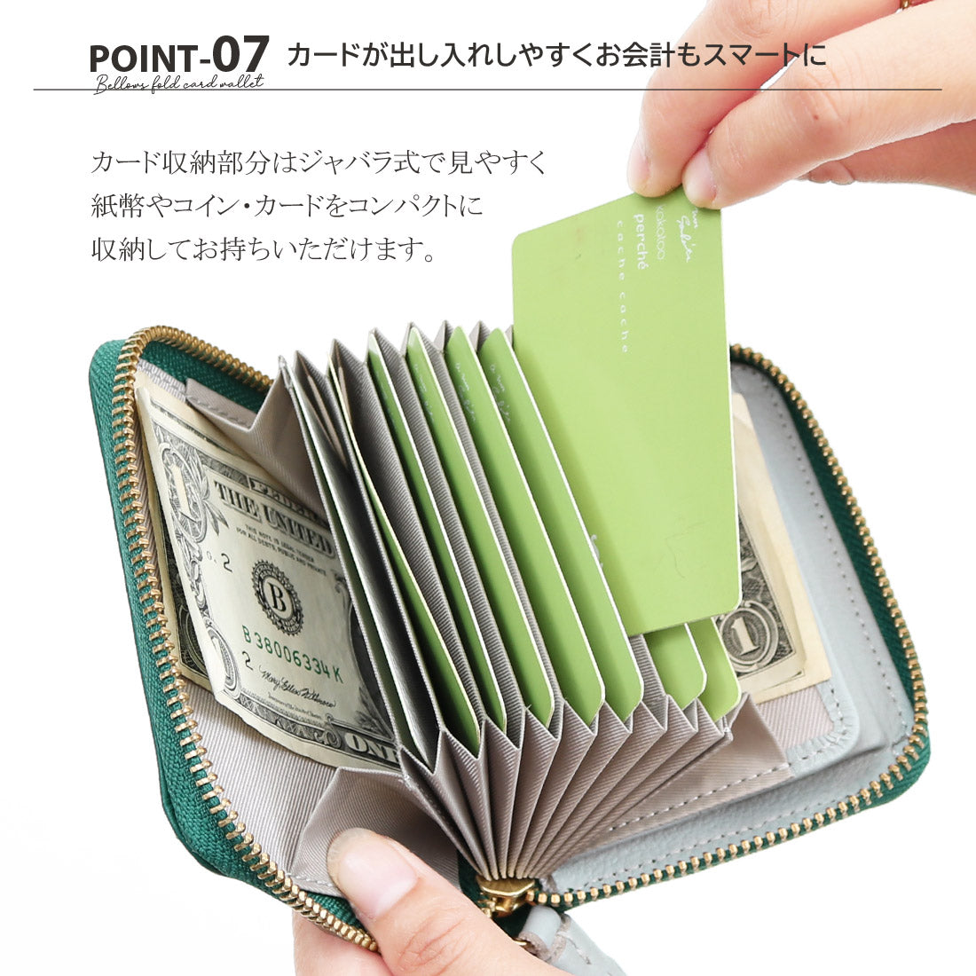 ＜ロングセラー＞ペルケ perche カラーコンビジャバラ・カードウォレット