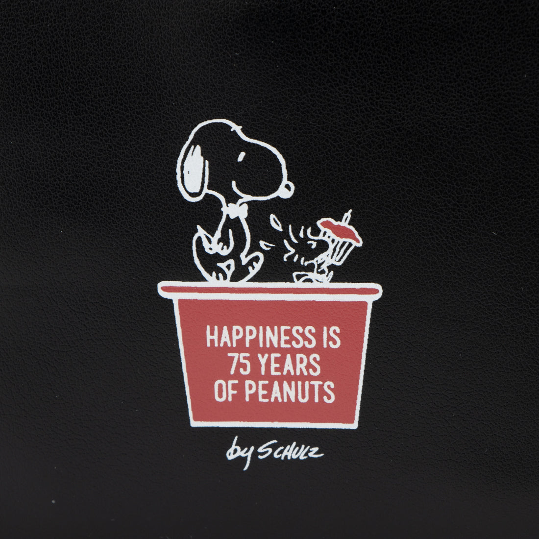 ピーナッツ PEANUTS コスメポーチ 大容量 ラウンドファスナー プリント柄 75周年 記念 限定 PEANUTS 可愛い キャラクター グッズ （ブラック） ブラック