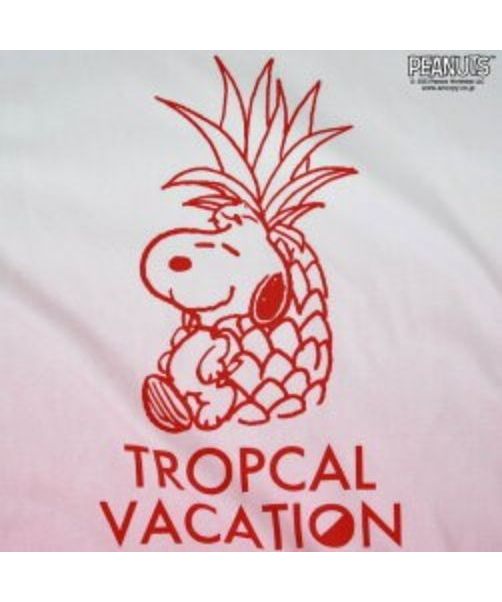 ピーナッツ PEANUTS スヌーピー グラデーション 半袖 Tシャツ 春夏 PEANUTS （ホワイトxローズピンク） ホワイトxローズピンク
