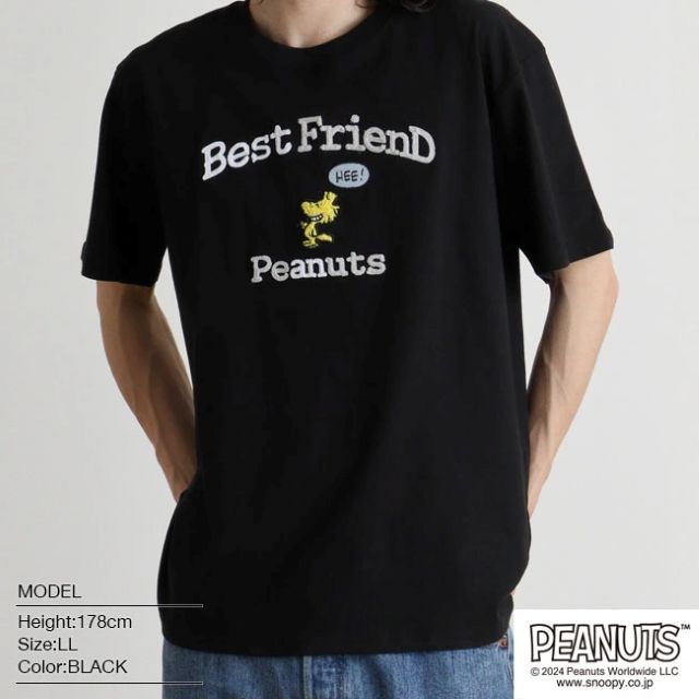 ピーナッツ PEANUTS スヌーピー ウッドストック Tシャツ 半袖 刺繍 トップス SNOOPY PEANUTS （ブラック） ブラック