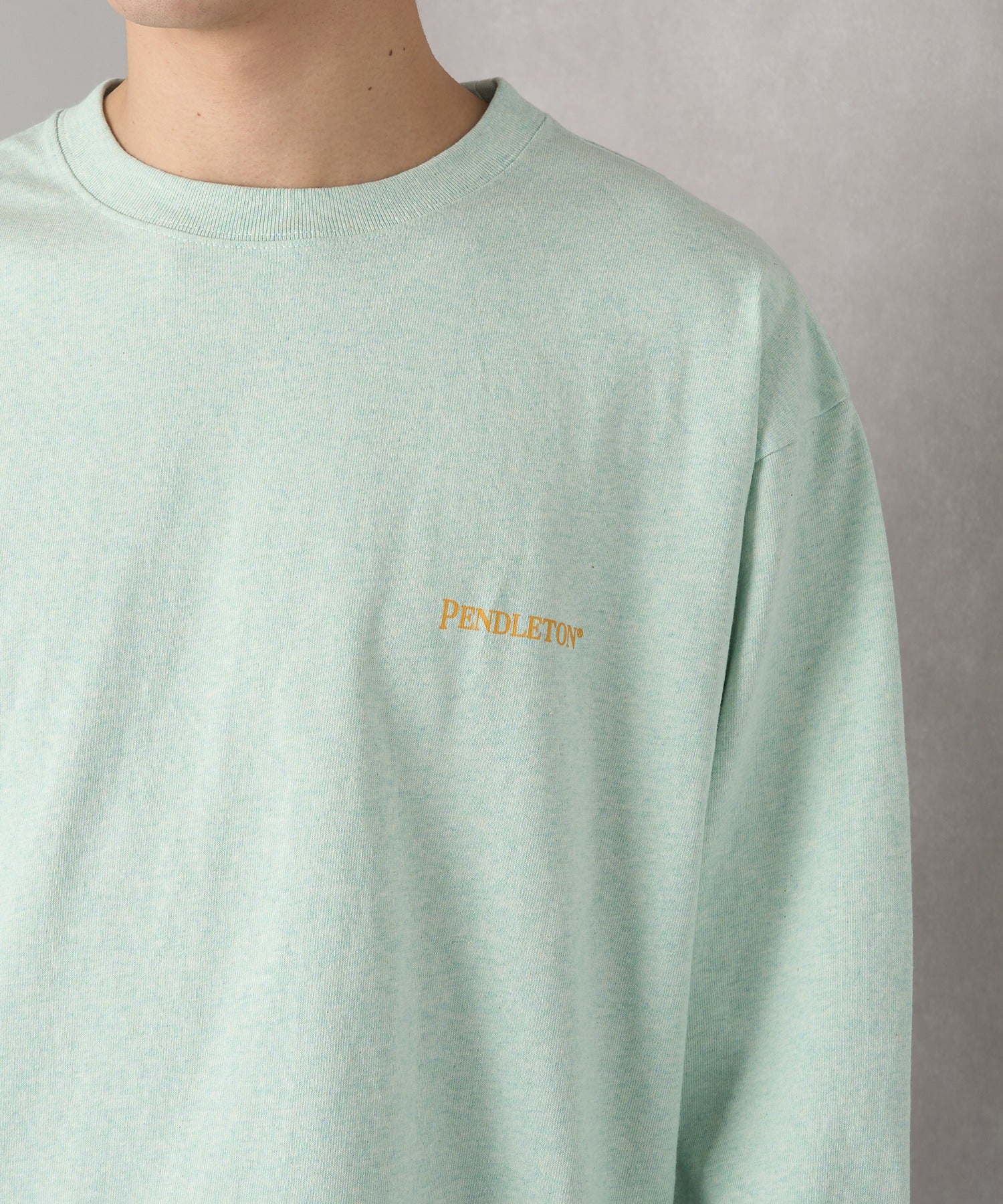 Pendleton PENDLETON Back Print L/S Tee