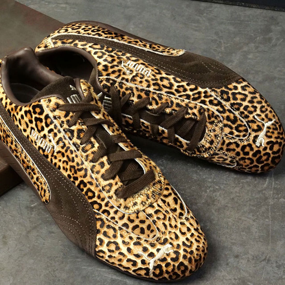 プーマ PUMA SPEEDCAT WILD WNS Chocolate/Warm-White [406690-01 HO25] （Chocolate/Warm-White） Chocolate/Warm-White