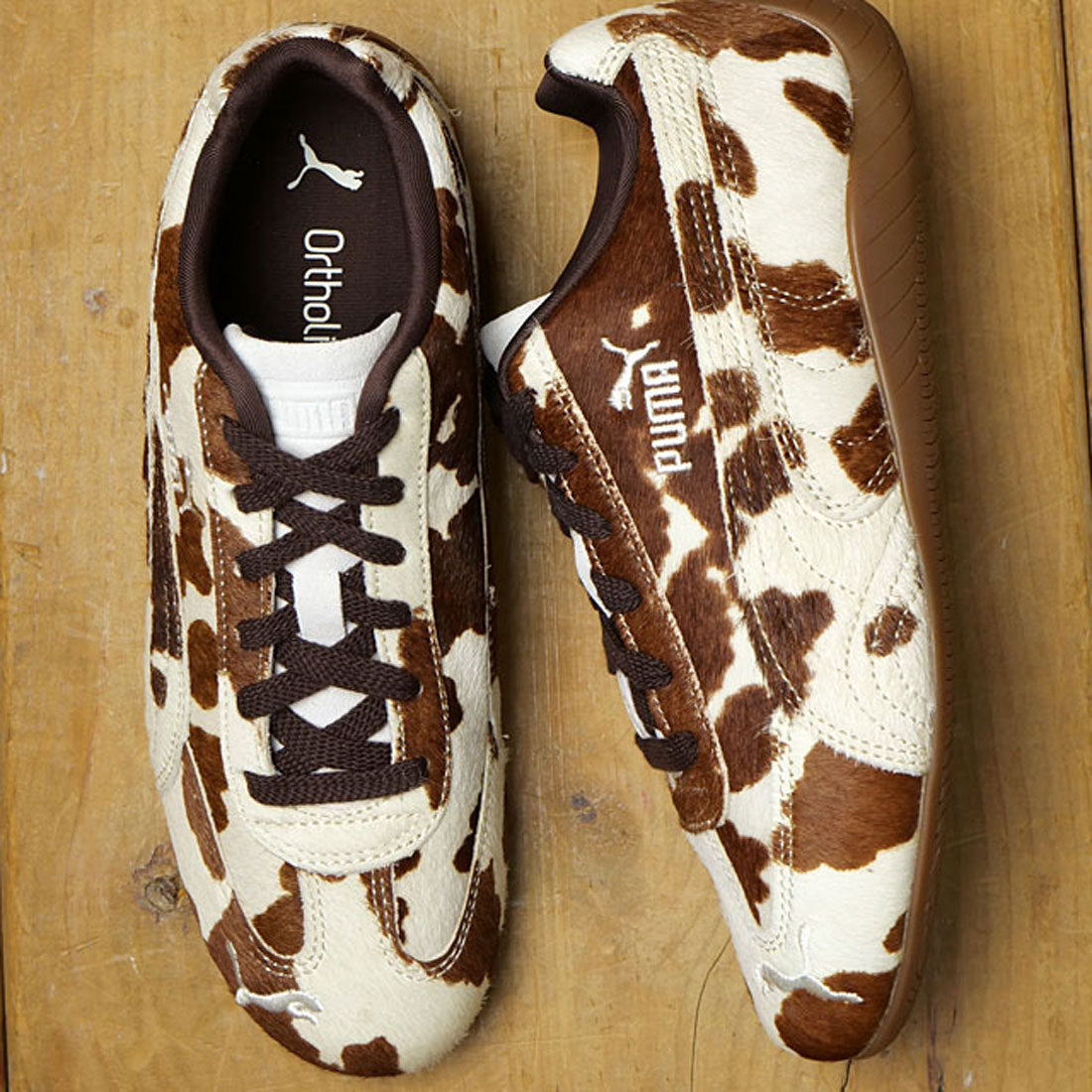 プーマ PUMA SPEEDCAT COW WNS Chocolate-Brown/Gum [406141-01] （Chocolate-Brown/Gum） Chocolate-Brown/Gum