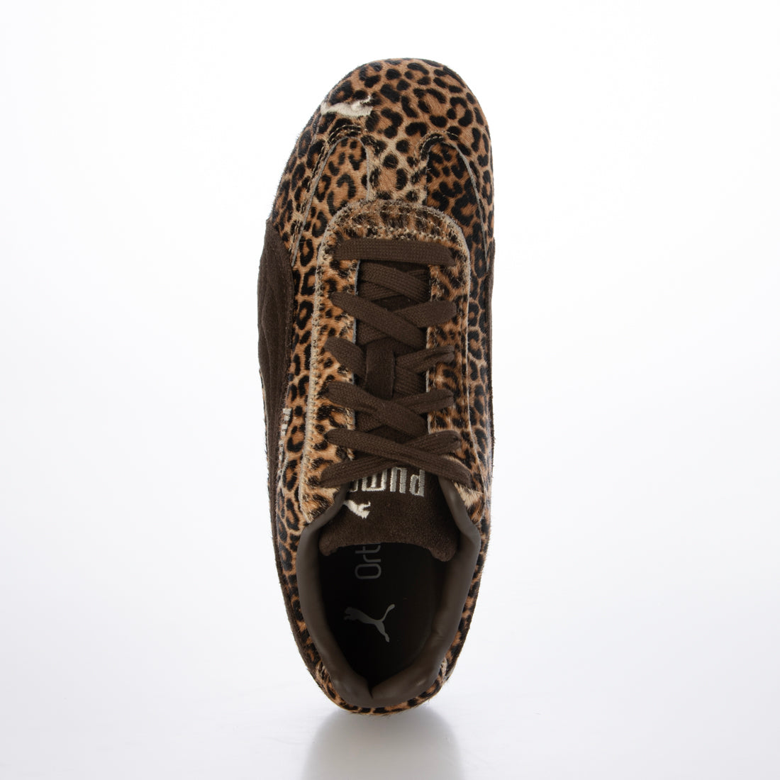 プーマ PUMA PUMA - SPEEDCAT WILD WNS CHOCOLATE/WARM WHITE 【406690-01】 （WILD WNS CHOCOLATE/WARM WHITE） WILD WNS CHOCOLATE/WARM WHITE