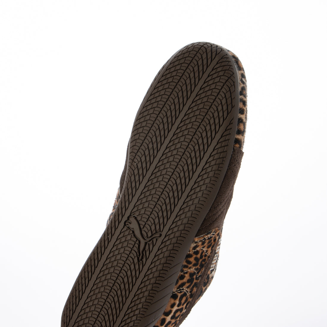 プーマ PUMA PUMA - SPEEDCAT WILD WNS CHOCOLATE/WARM WHITE 【406690-01】 （WILD WNS CHOCOLATE/WARM WHITE） WILD WNS CHOCOLATE/WARM WHITE