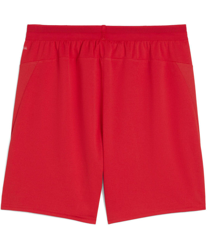 PUMA PUMA Soccer TEAMCUP Game Pants 706795