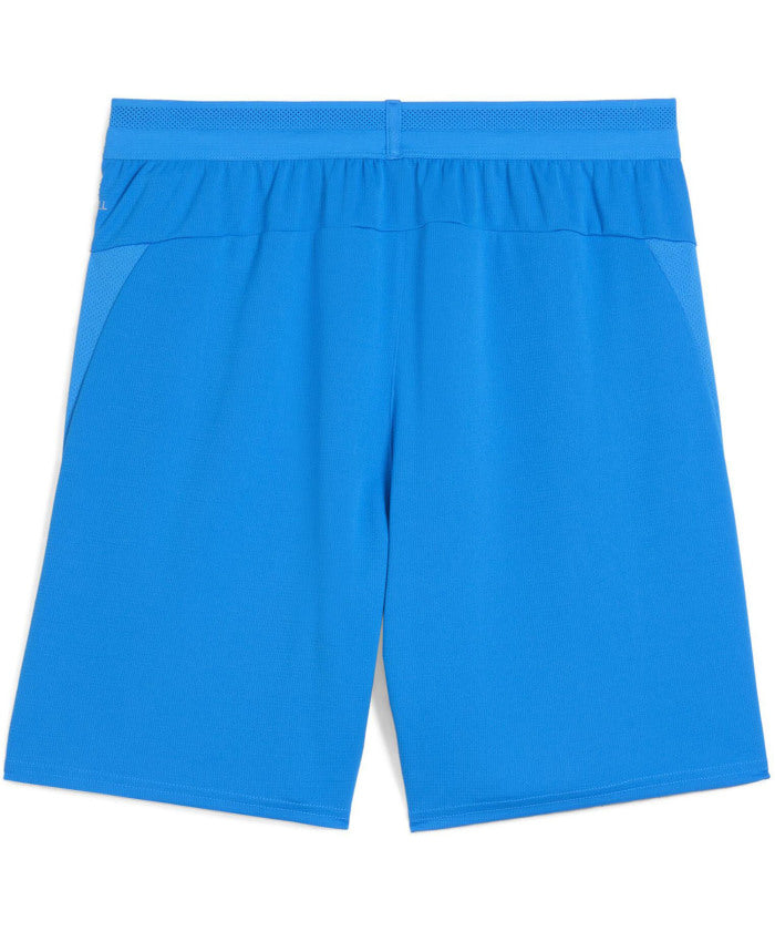 PUMA PUMA Soccer TEAMCUP Game Pants 706795