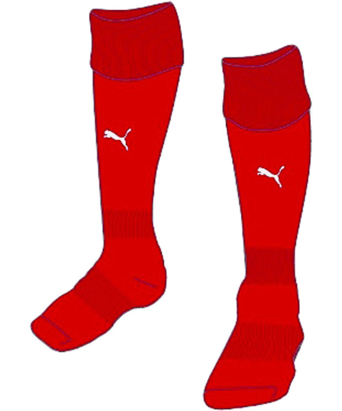 普馬 PUMA PUMA 普馬 足球 LIGA 襪子 729879 12【不接受退貨商品】