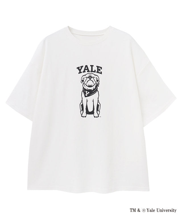ラス RASW 別注YALEドッグオーバーTシャツ （オフホワイト） オフホワイト