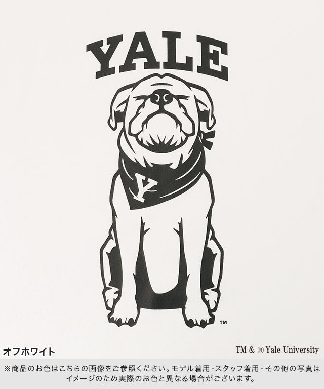 ラス RASW 別注YALEドッグオーバーTシャツ （オフホワイト） オフホワイト